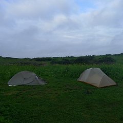 GirlsWildCat 094 : GirlsWildCat